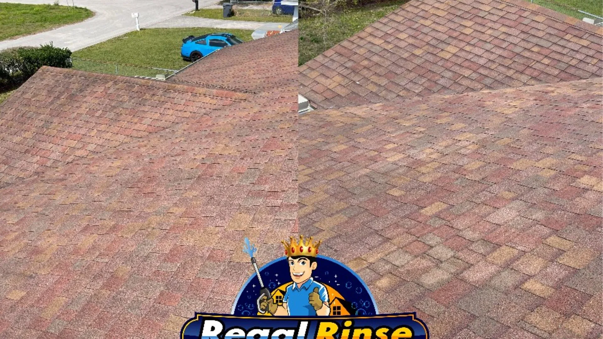 Professional roof cleaning