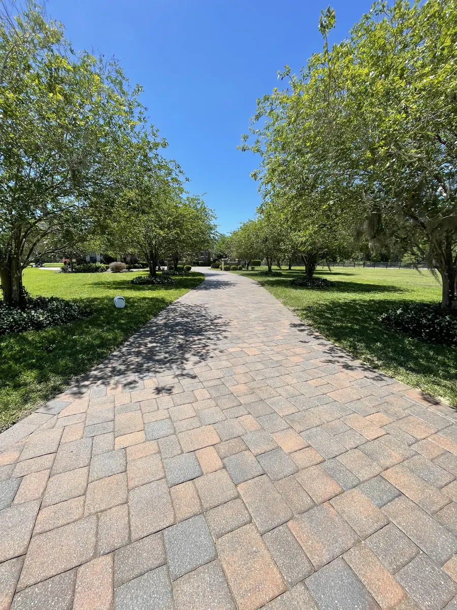 Tree-lined paver driveway after deep clean, sand & seal — color enhancement restored