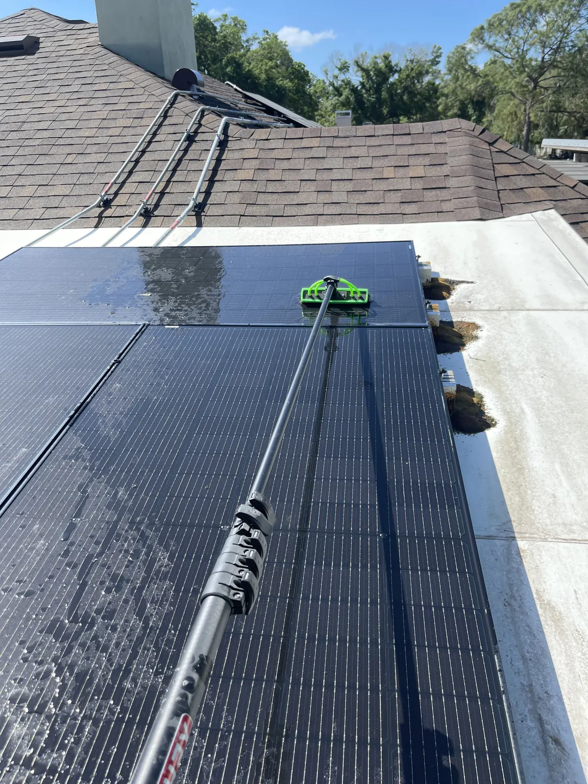 Solar panel cleaning in progress — water-fed pole system, Regal Rinse Solutions